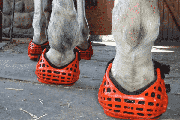 ботинки для лошадей