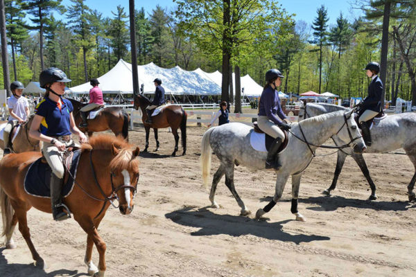 организация конных шоу