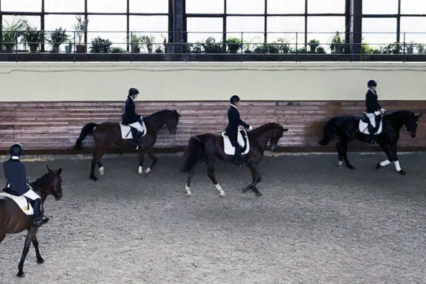 квалификация в конкуре