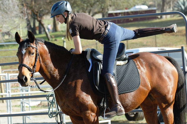 посадка на лошадь