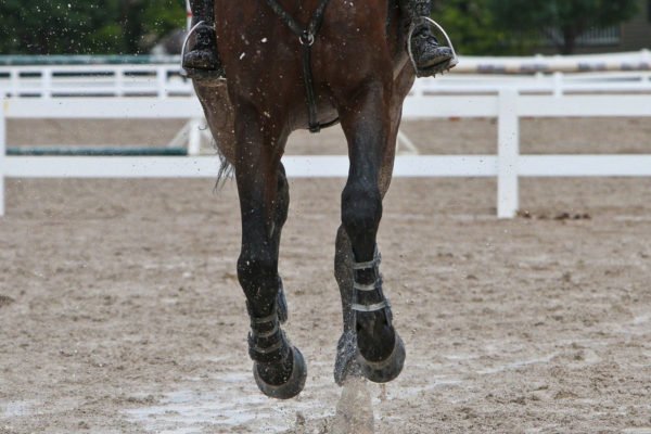 безгринтица