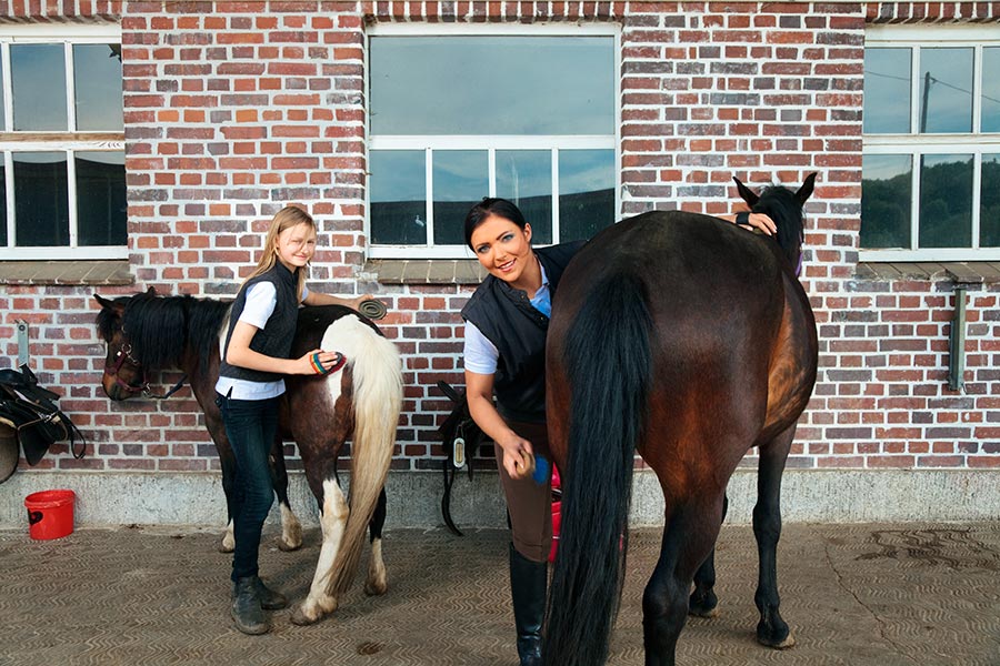 Конюшни женщина. Horse Farm women with their Horses порносцены. Лошадь а на них взрослые люди👱🏻‍♀️. Можно ли держать лошадь в городе.