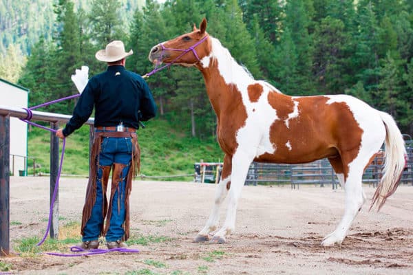 безопасный узел