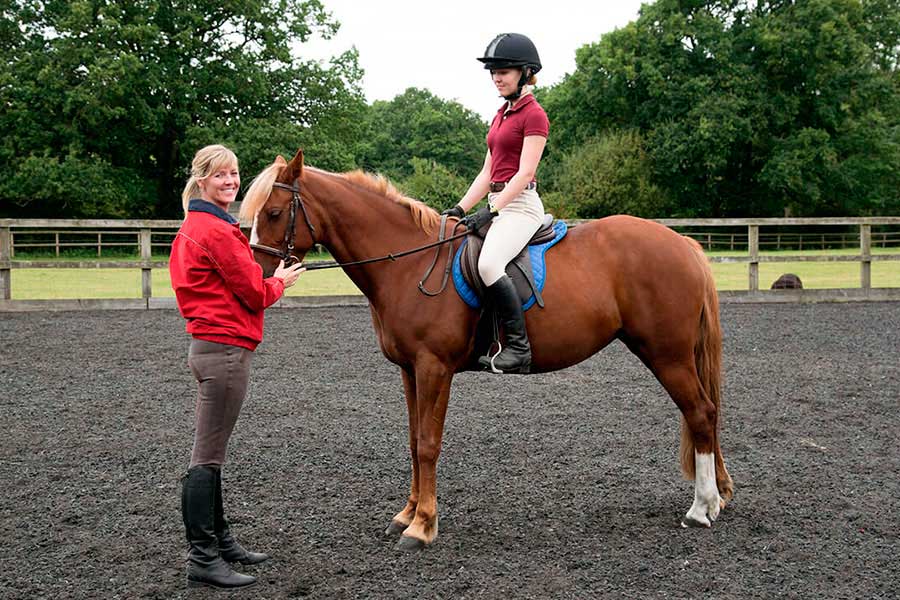 Человек использует наездников. Всадник конкур. Наездница с лошадью. Хорс райдинг. Биологические методы борьбы с вредителями.